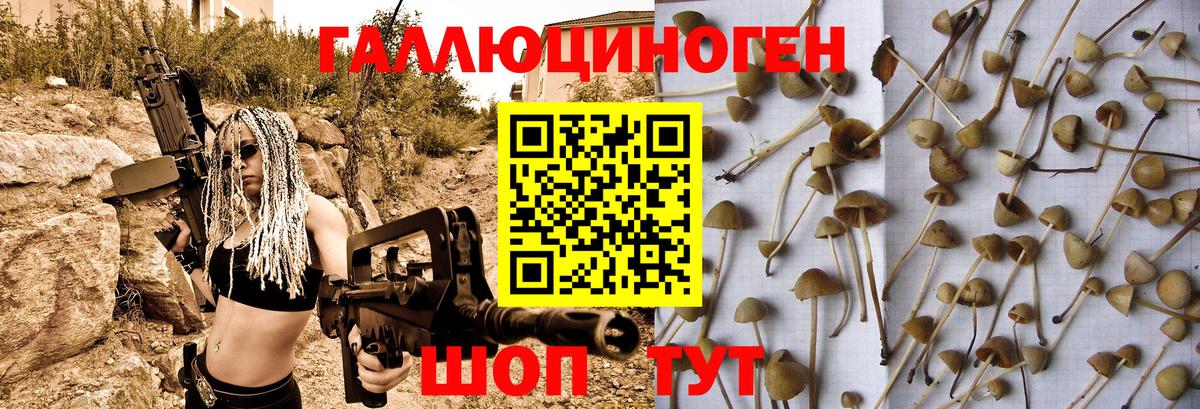 Шахты  Псилоцибиновые грибы ЛСД  Вход с VPN  дарнет шоп  Псилоцибиновые грибы Psilocybine cubensis 